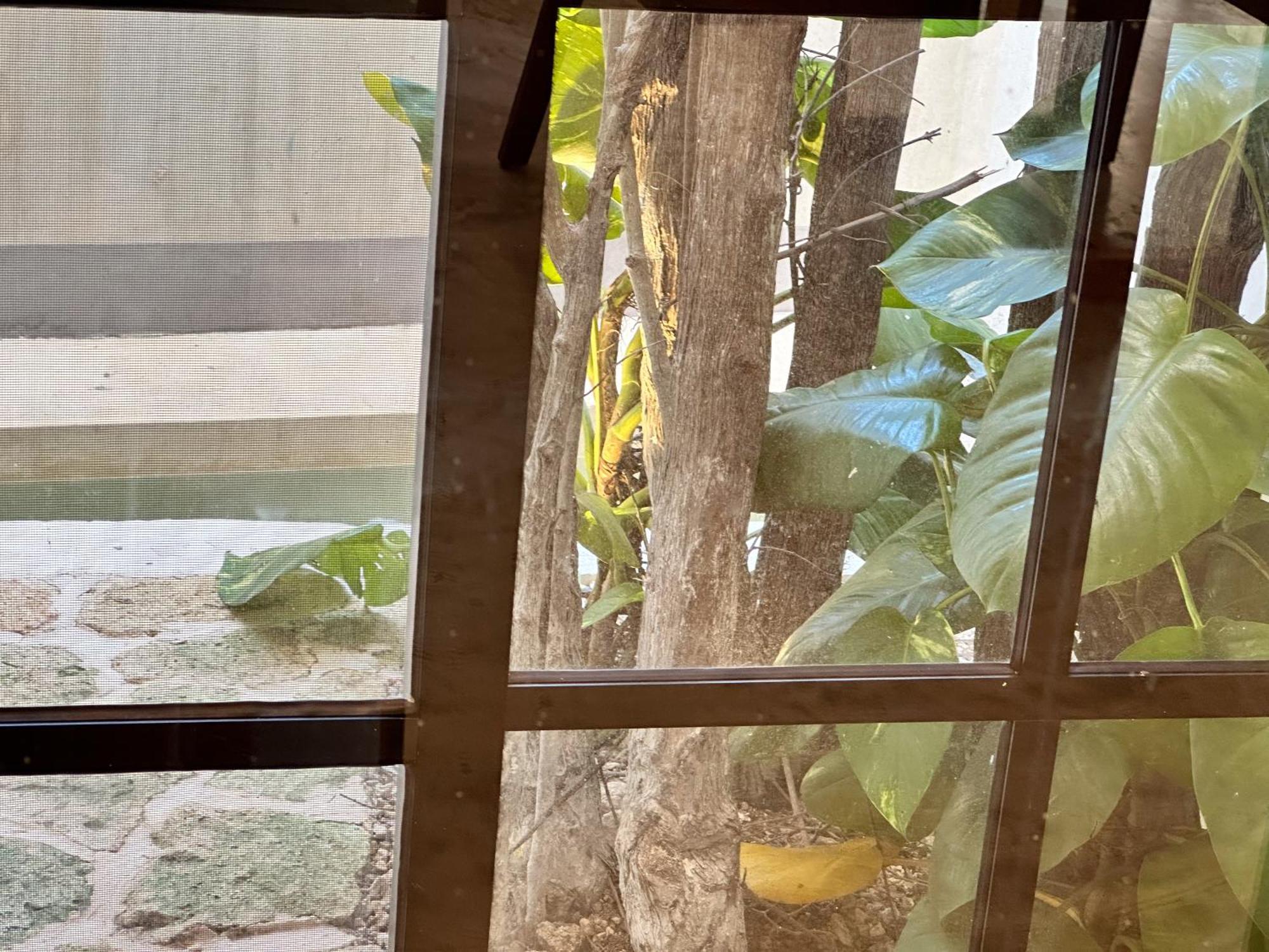 Casa Kobaab Tulum Aparthotel Ngoại thất bức ảnh